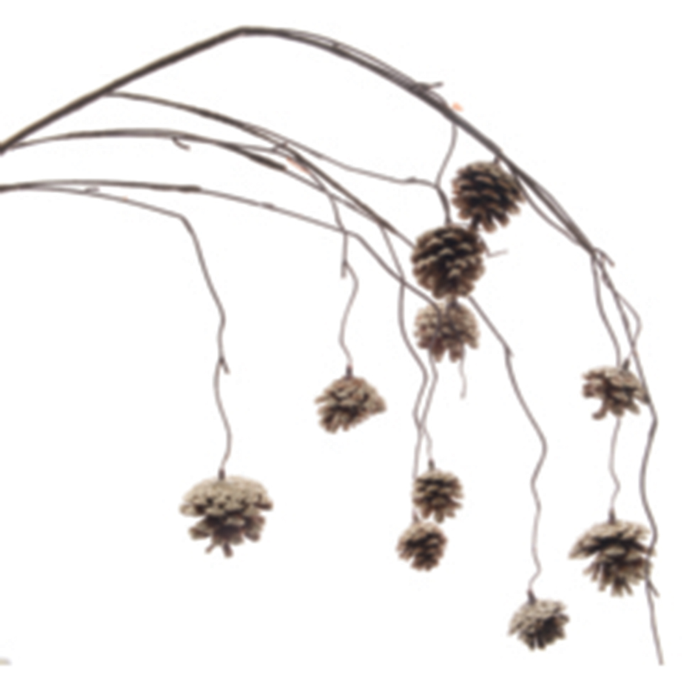 Casolaro Hotellerie Spa Branch with pine cones Casolaro Hotellerie SpA