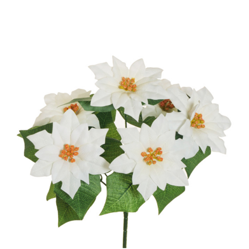 Casolaro Hotellerie Spa Bundle of 6 white poinsettias Casolaro Hotellerie SpA
