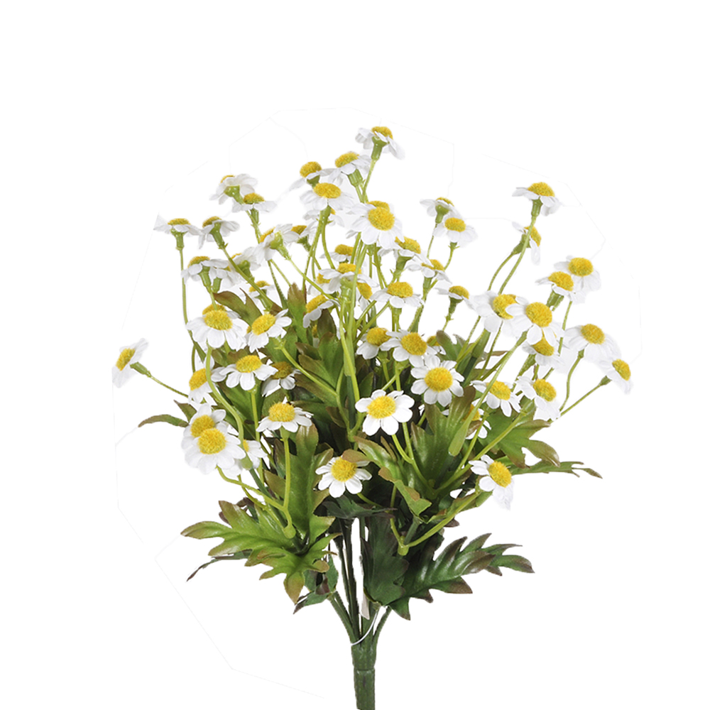 Casolaro Hotellerie Spa Bunch of Chamomile Casolaro Hotellerie SpA