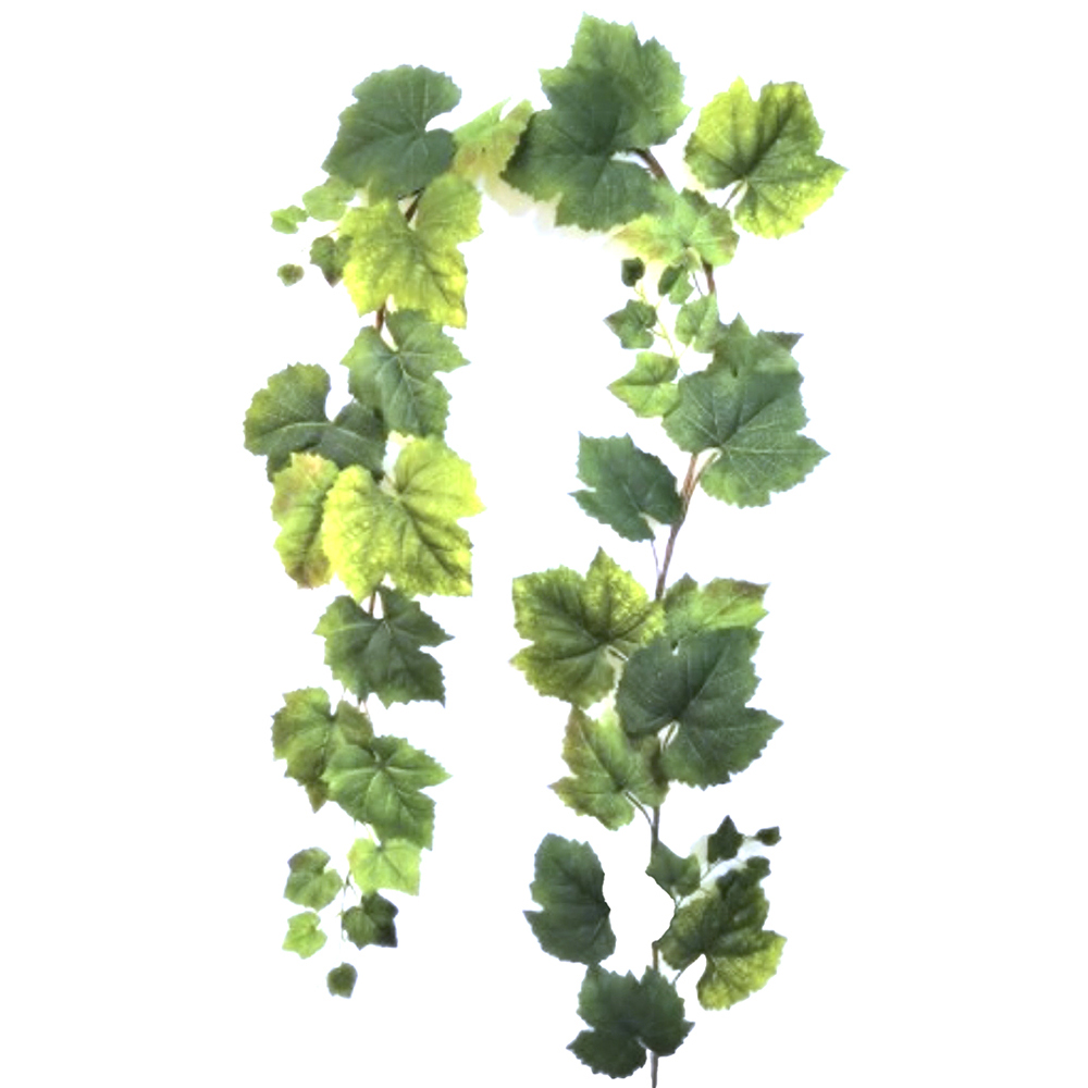 Casolaro Hotellerie Spa Wreath with vine leaves green Casolaro Hotellerie SpA