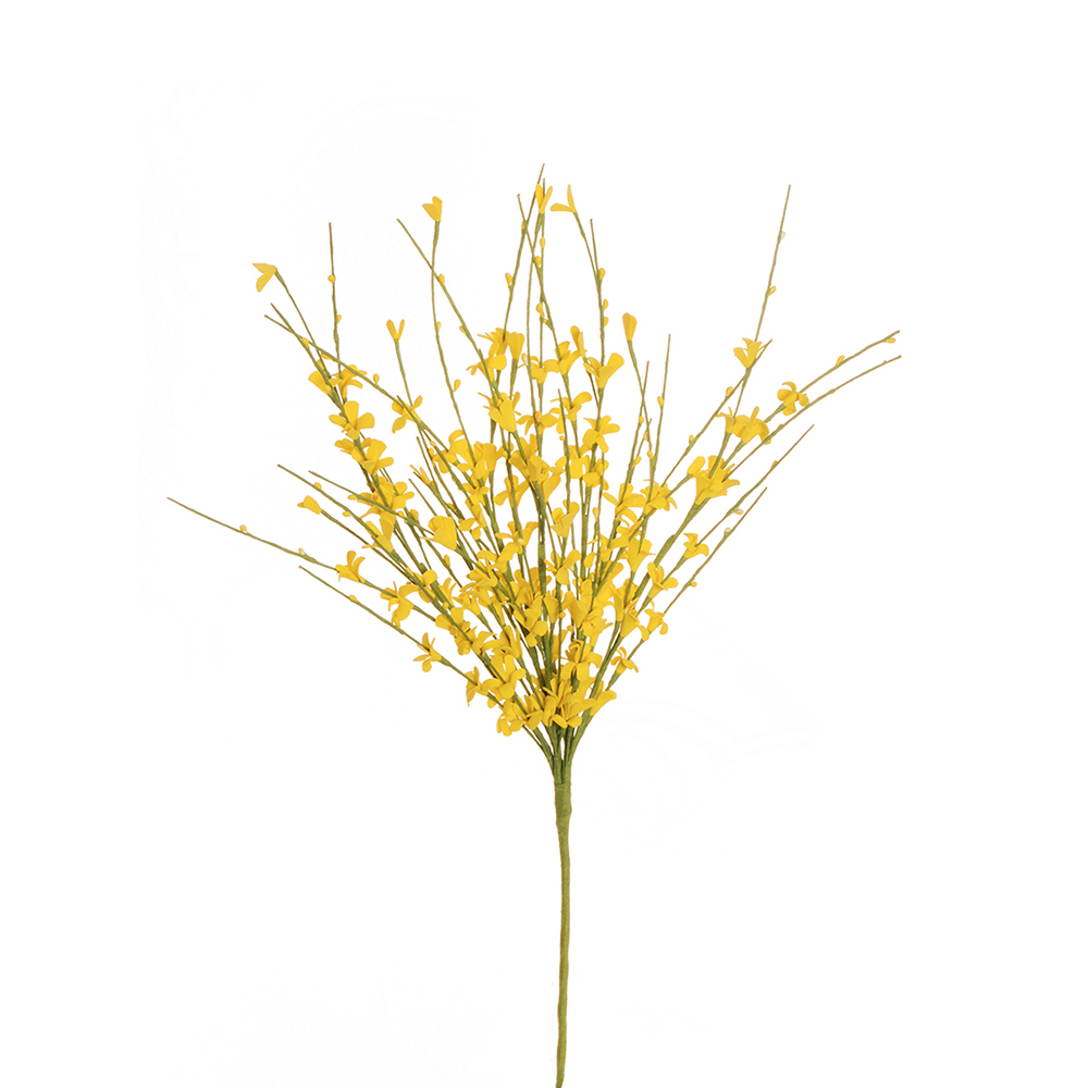 Casolaro Hotellerie Spa Yellow broom bouquet Casolaro Hotellerie SpA