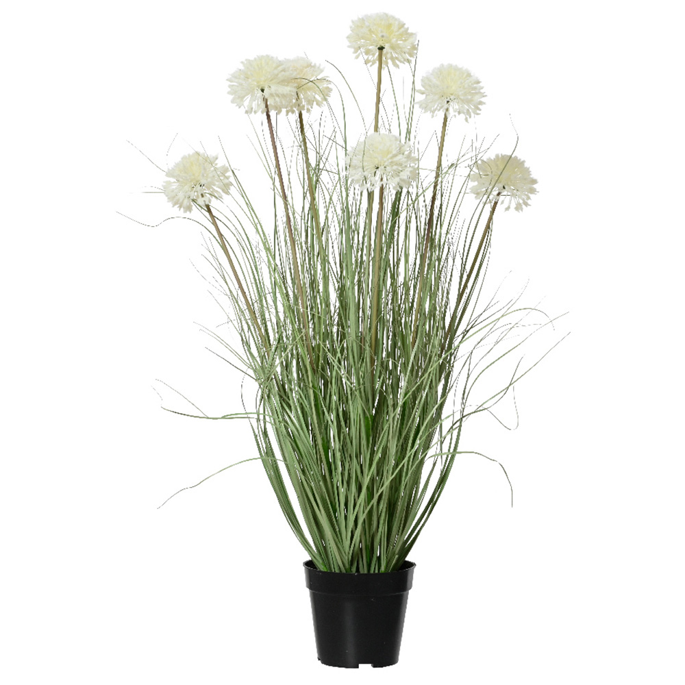 Casolaro Hotellerie Spa Allium flower bush Casolaro Hotellerie SpA