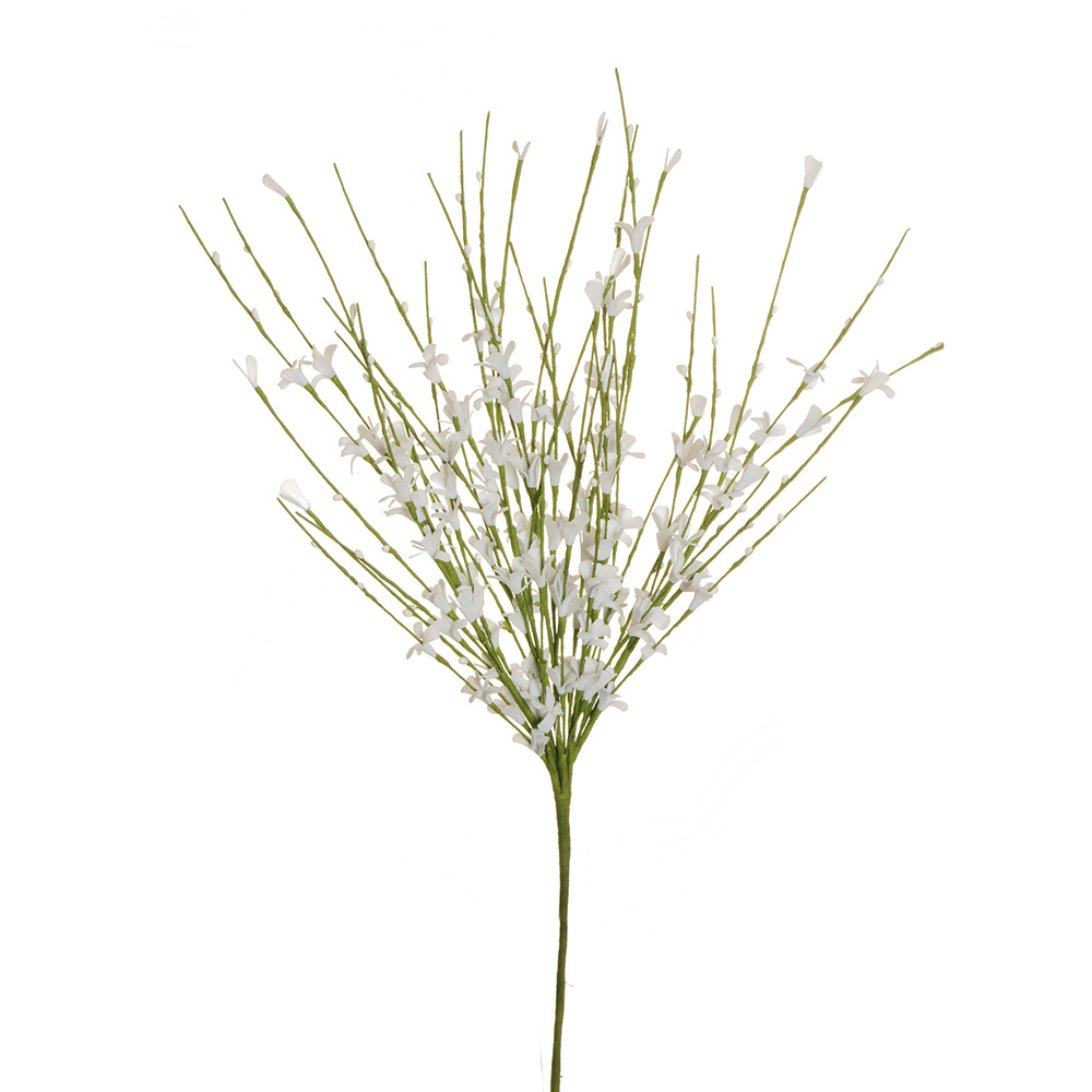 Casolaro Hotellerie Spa White broom bouquet Casolaro Hotellerie SpA
