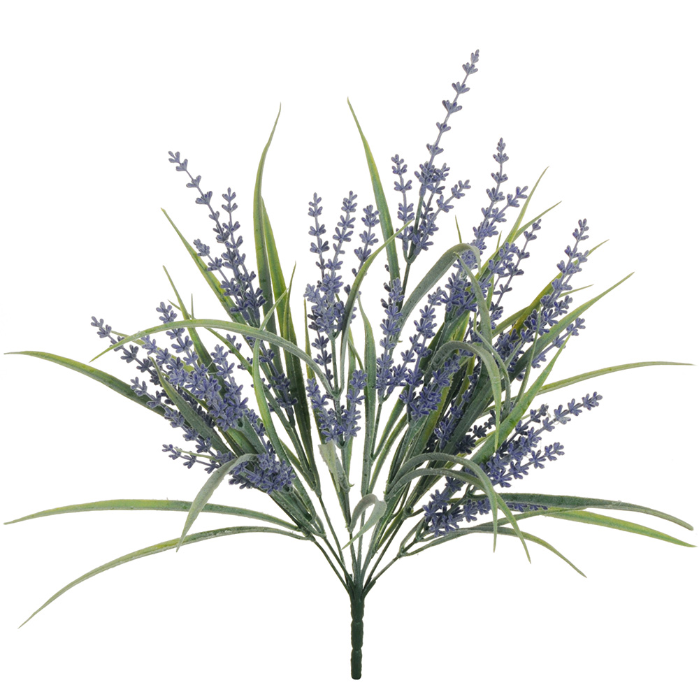 Casolaro Hotellerie Spa Bush 9 lavender branches Casolaro Hotellerie SpA