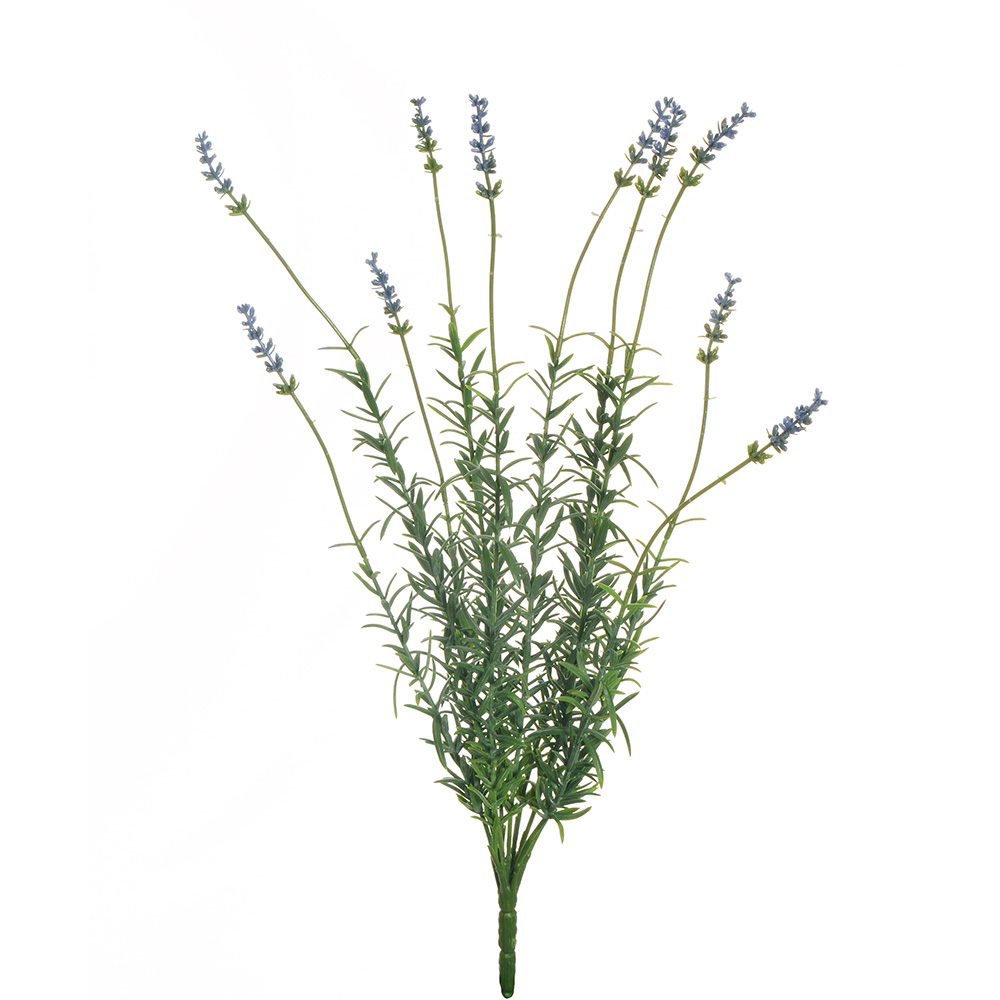 Casolaro Hotellerie Spa Bush 10 lavender stems Casolaro Hotellerie SpA