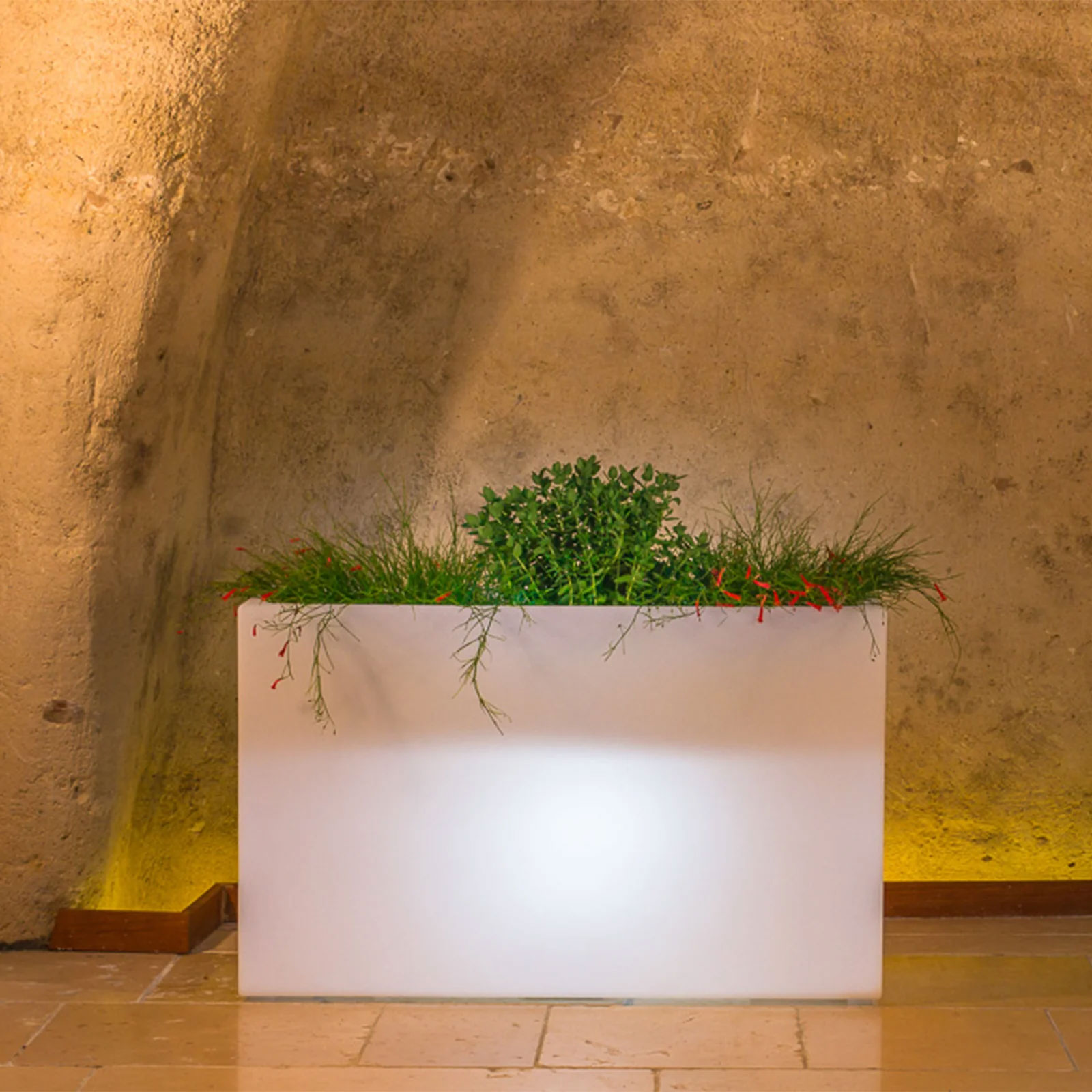 Casolaro Hotellerie Spa Flower Bright vase Casolaro Hotellerie SpA