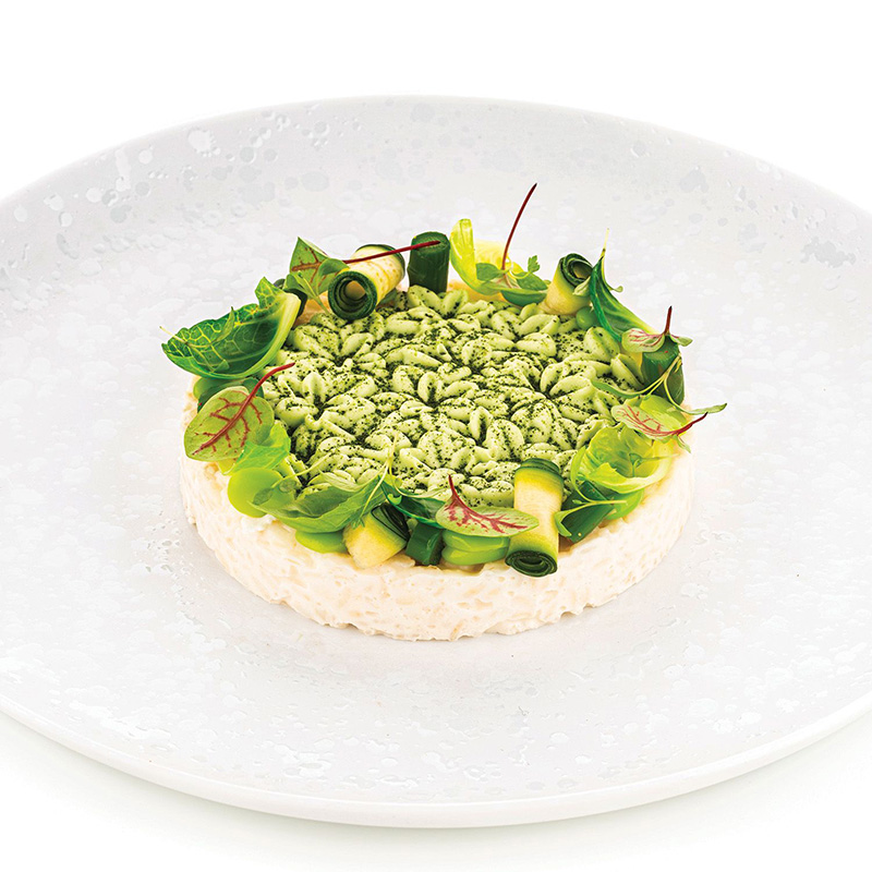 Casolaro Hotellerie Spa Erbetta43 silicone mold Naturae series Silikomart