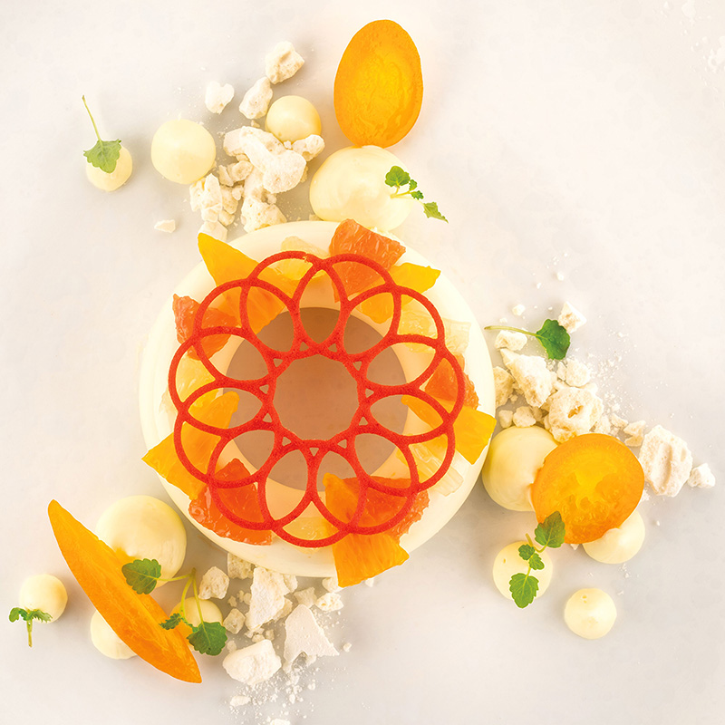 Casolaro Hotellerie Spa Crown silicone mold Naturae series Silikomart