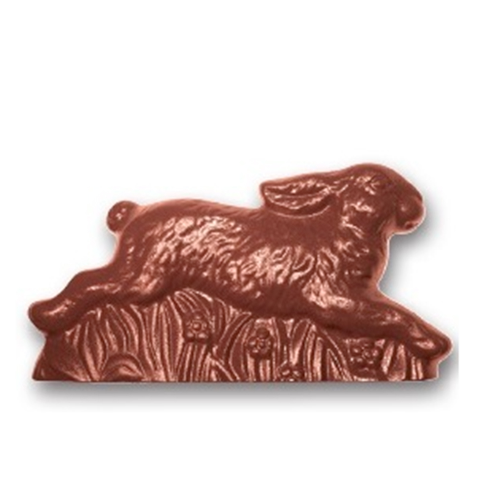 Casolaro Hotellerie Spa Jackrabbit mold Casolaro Hotellerie SpA