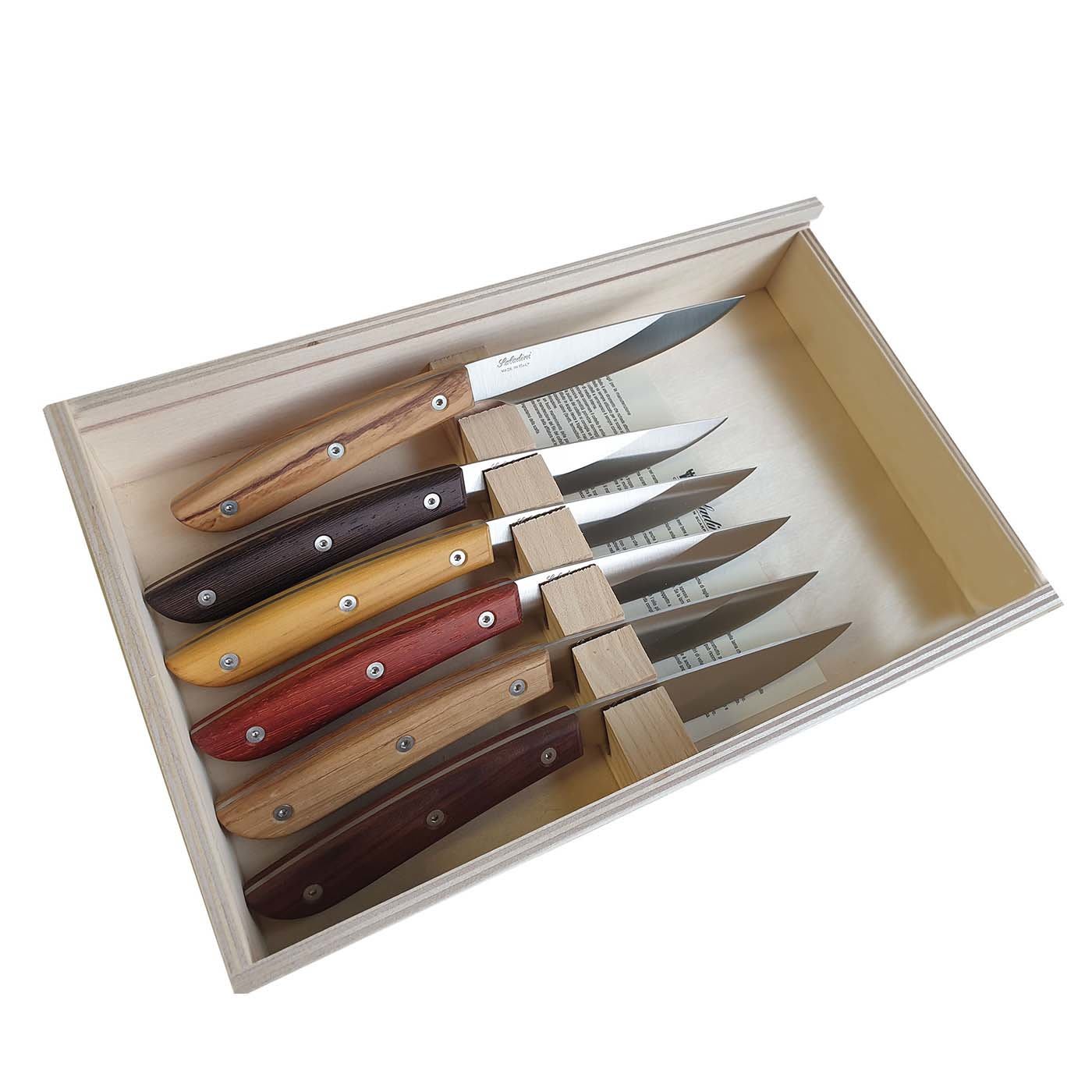 Set di 6 coltelli da bistecca