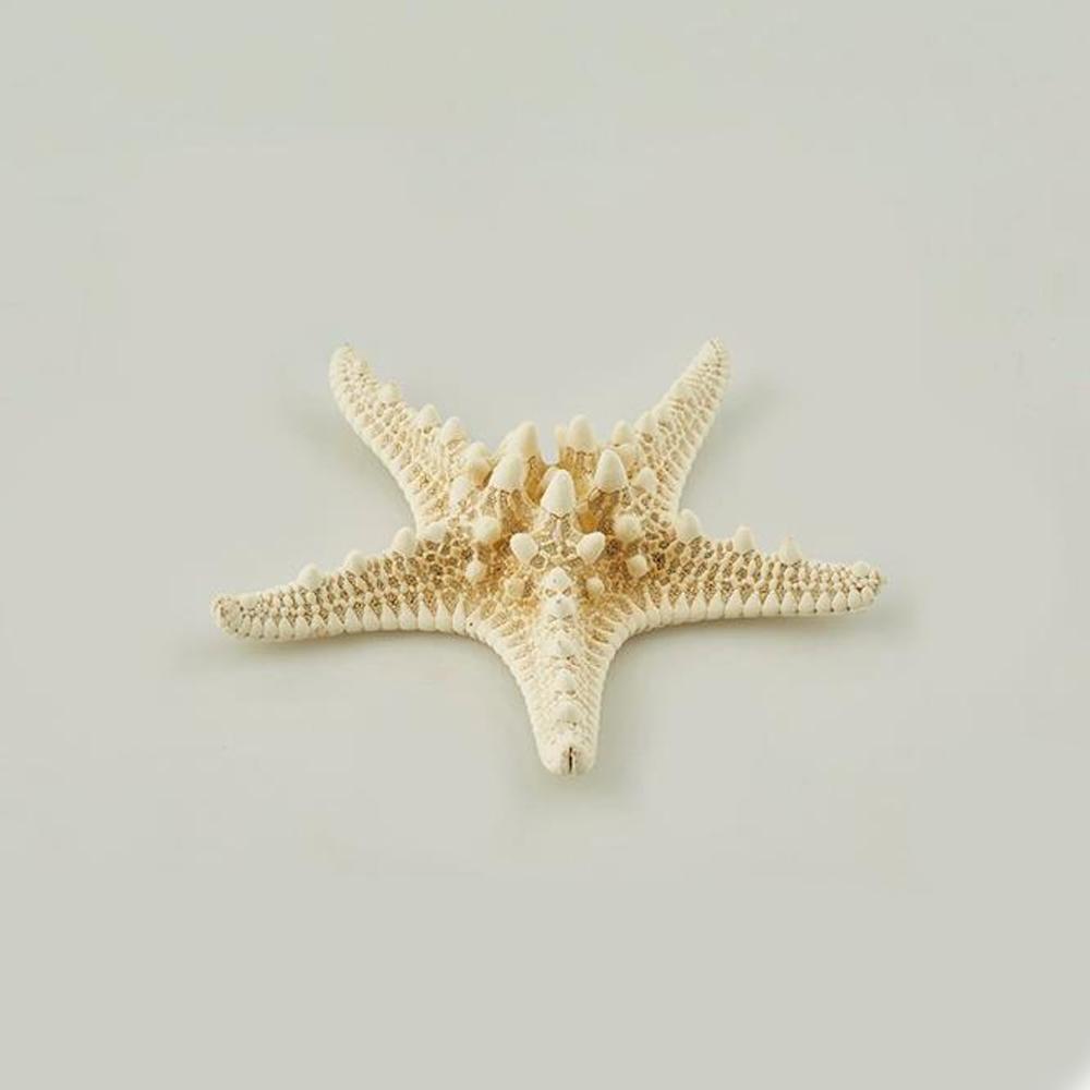 DE GASPERI STELLA MARINA