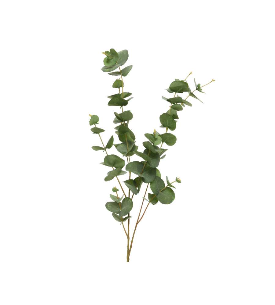 Ramo di eucalipto innevato