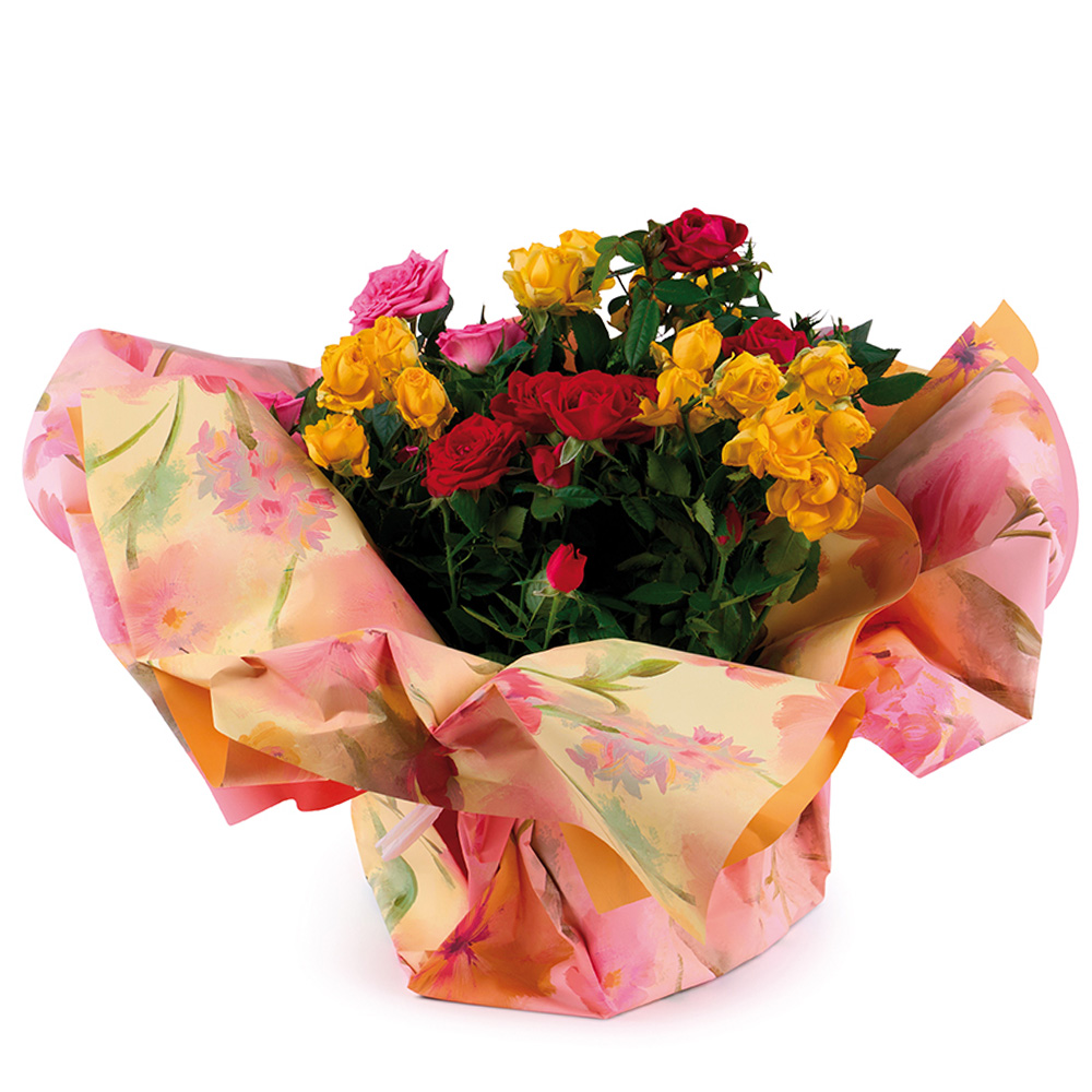 Casolaro Hotellerie Spa Aquarelle reel Casolaro Hotellerie SpA