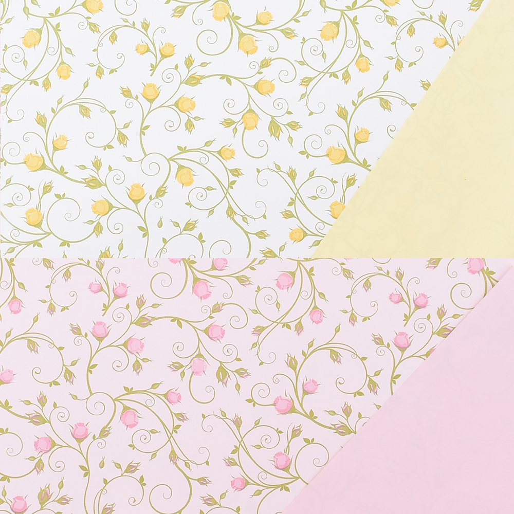 Casolaro Hotellerie Spa Vitty paper roll Casolaro Hotellerie SpA