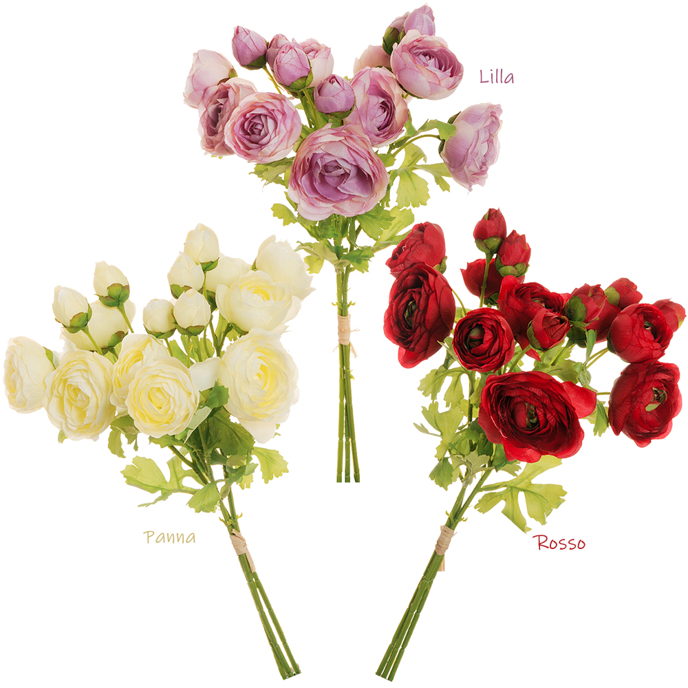 Casolaro Hotellerie Spa Buttercup band Casolaro Hotellerie SpA