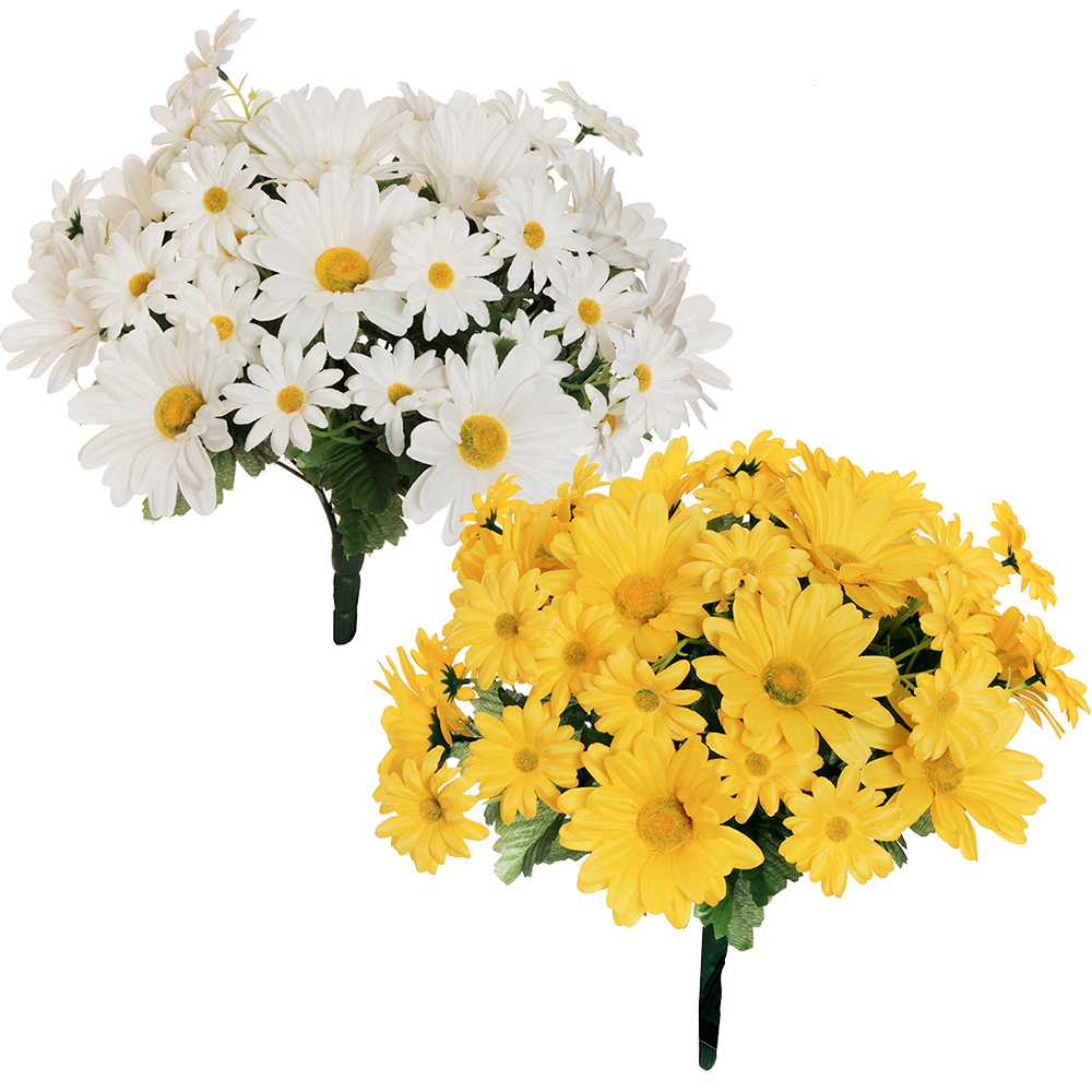 Casolaro Hotellerie Spa Bundle 24 Daisies Casolaro Hotellerie SpA