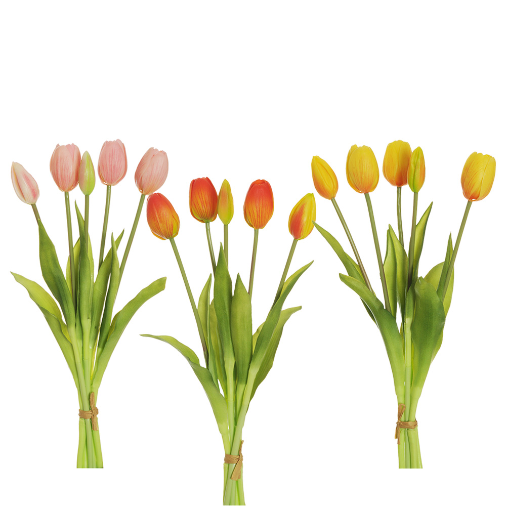 Casolaro Hotellerie Spa Bundle of 5 tulips Casolaro Hotellerie SpA