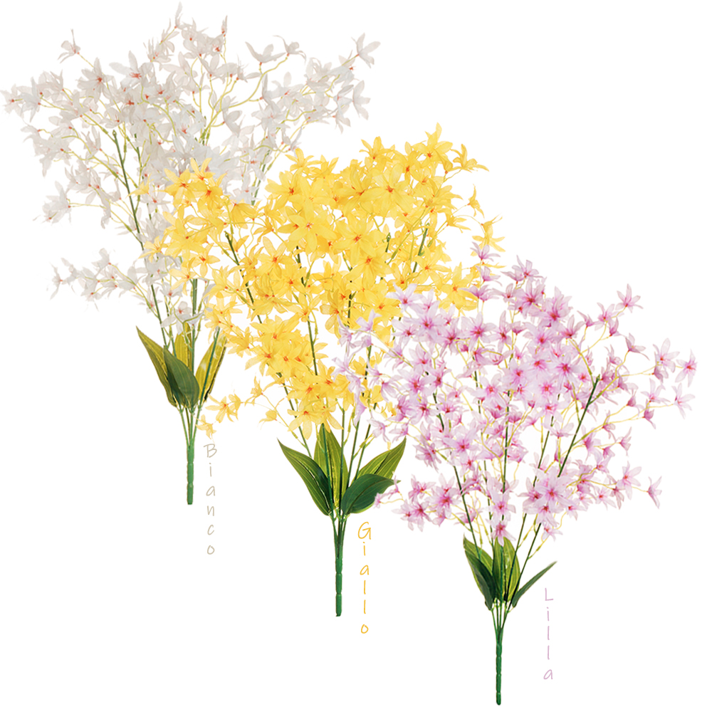 Casolaro Hotellerie Spa Deutzia bundle Casolaro Hotellerie SpA