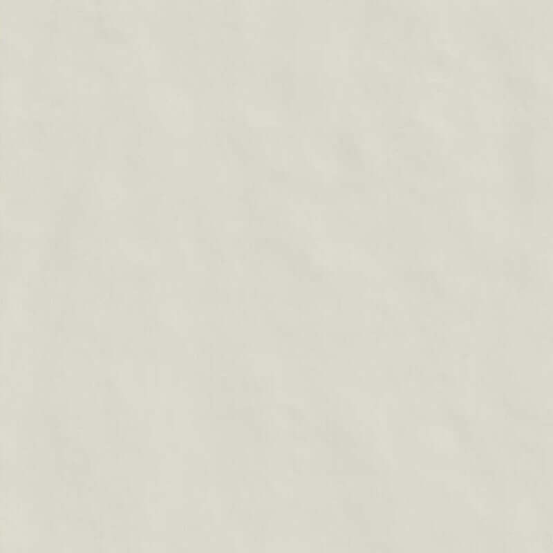 Gres Porcellanato Effetto Resina Rettificato Naturale 60x120 9mm Bianco Neutra 6.0 - Florim