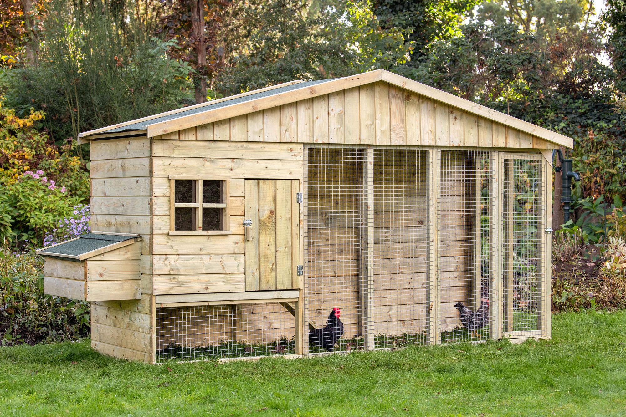 Pollaio / piccola stalla per animali Wyandotten - Dimensioni (cm): 90 x 302 x 180 (L x L x A)