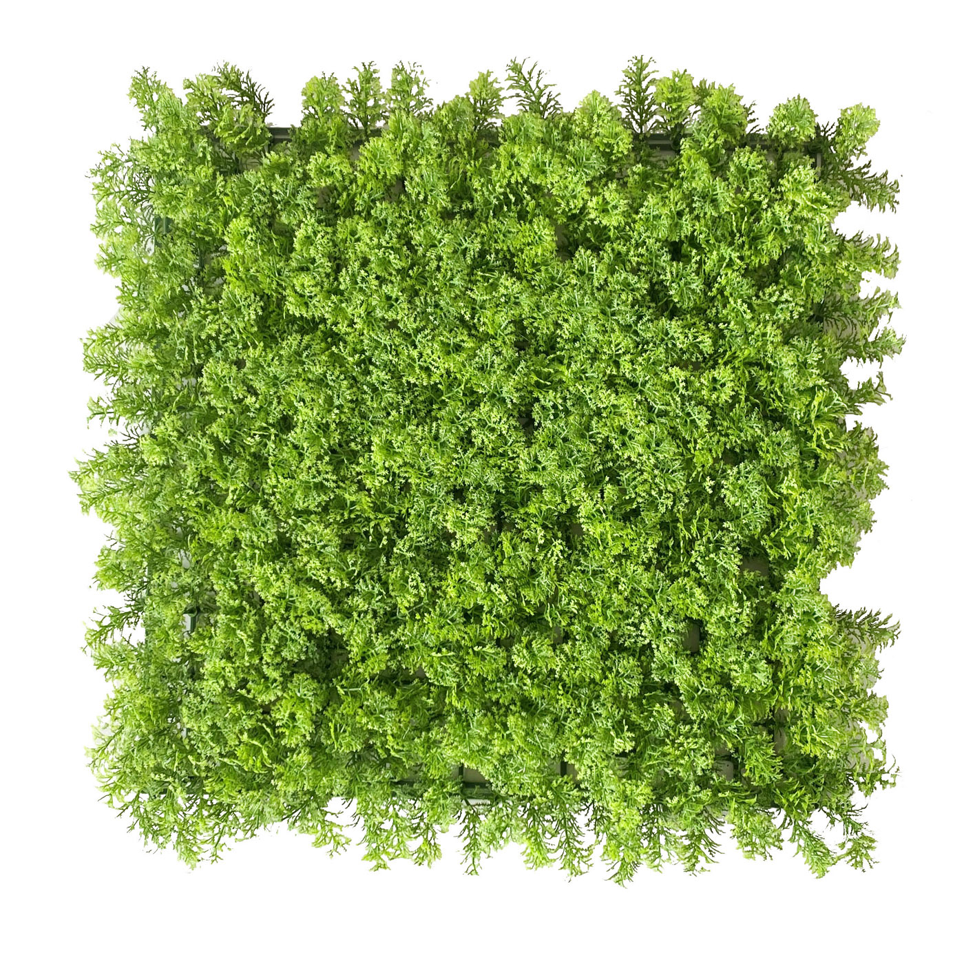 VERDEVIP Mattonelle Lichene Artificiale · Classic · UVR · cm. 100 x 100-U-1530X100