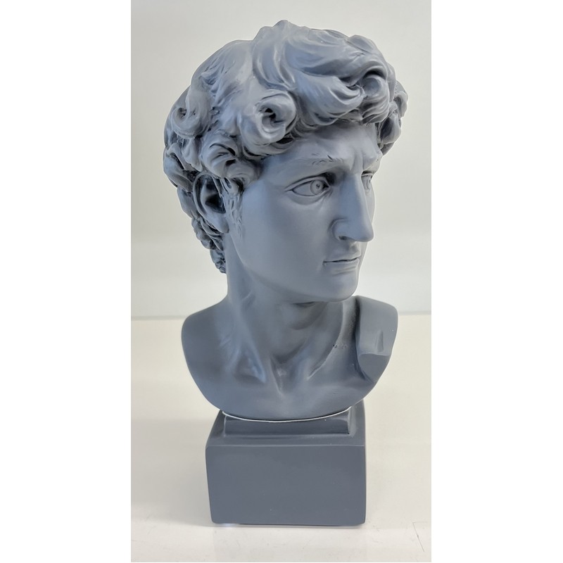 BUSTO DAVID IN RESINA GRIGIO CM. 18 PALAIS ROYAL