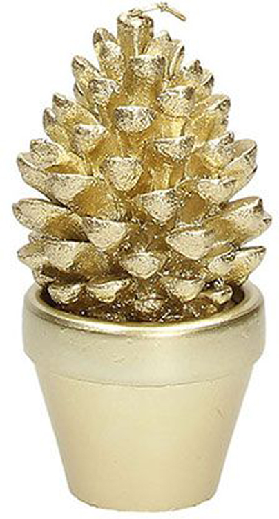 Candela Pigna Lux Aurea