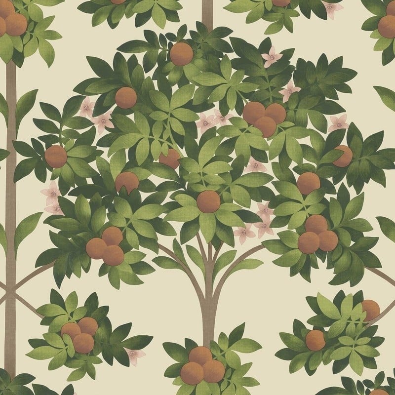 Carta da parati Arancione Blossom Cole and Son