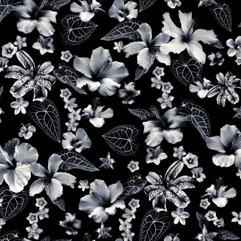 Carta da parati Cariacou  Jean Paul Gaultier