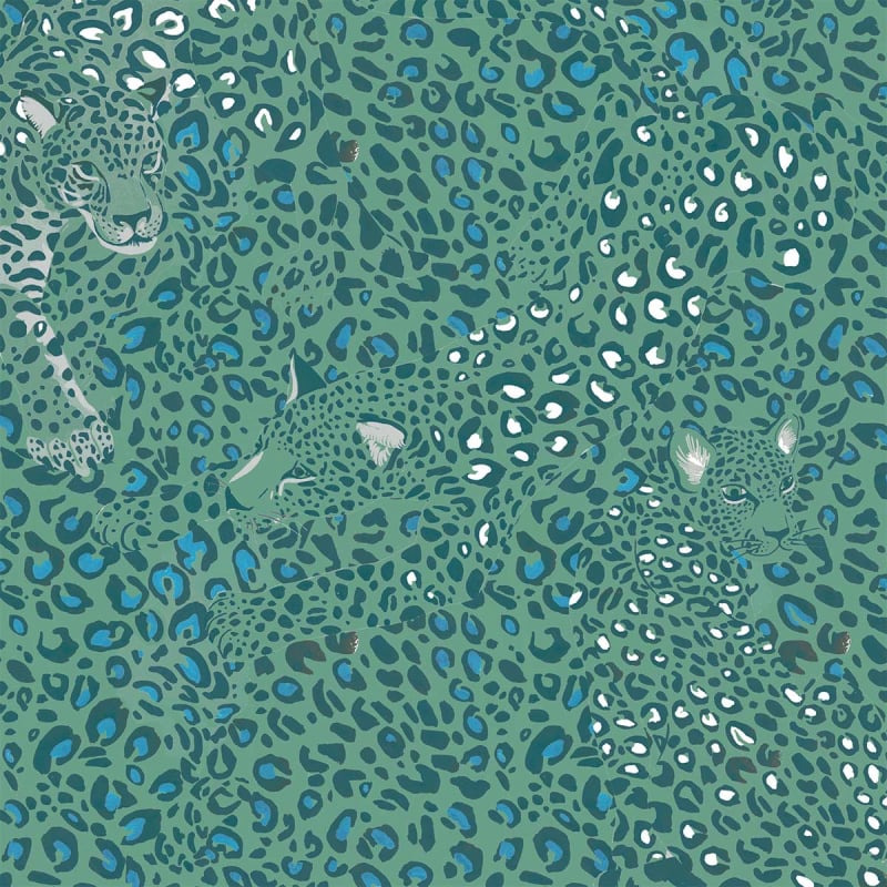 Carta da parati Cheetah Little Cabari