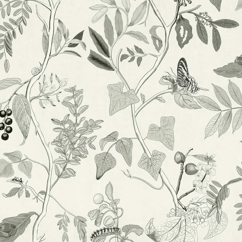 Carta da parati Diderot  Coordonné