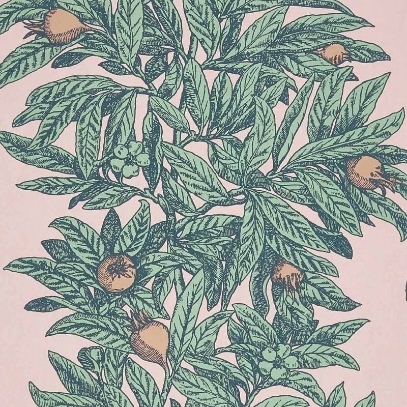 Carta da parati Medlar  Osborne and Little
