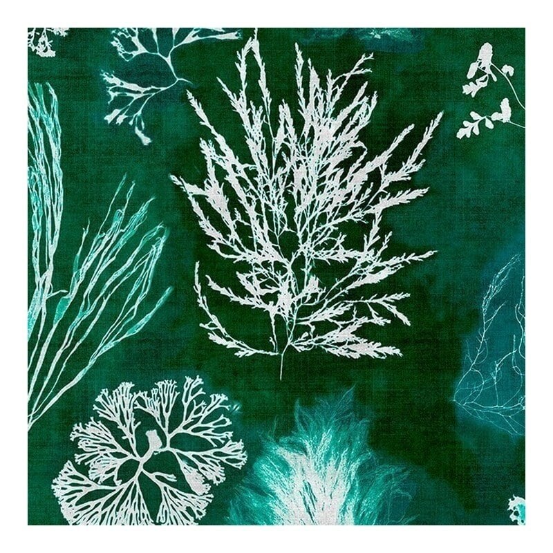 Carta da parati panoramica Algae Mindthegap