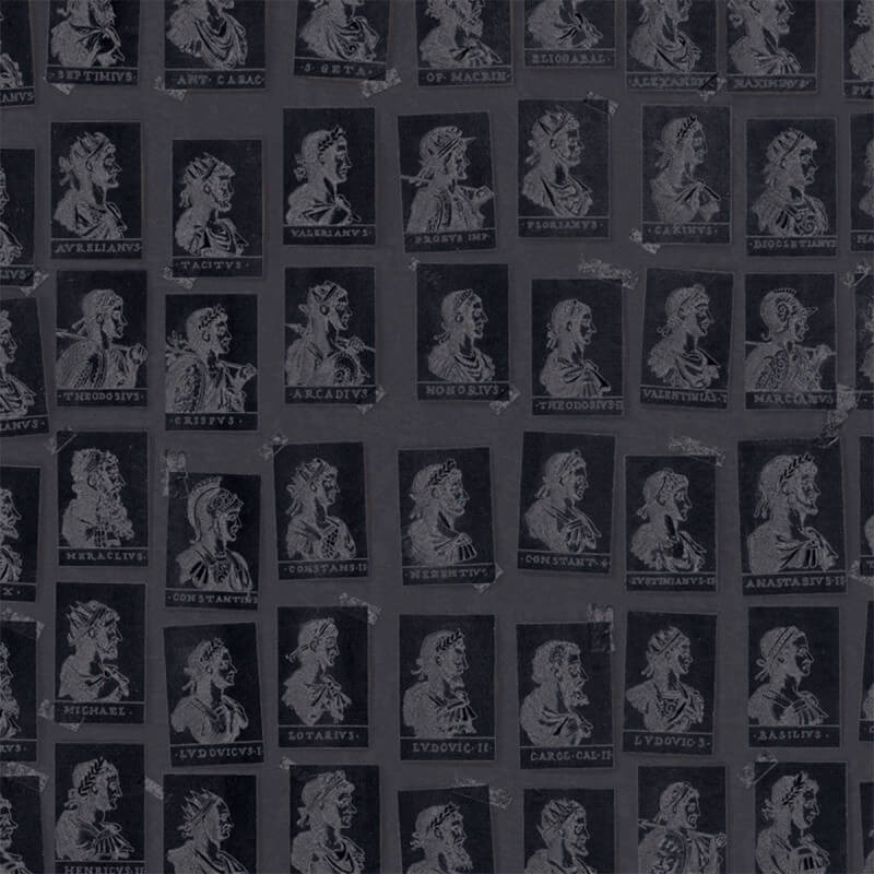 Carta da parati panoramica Emperors Mindthegap