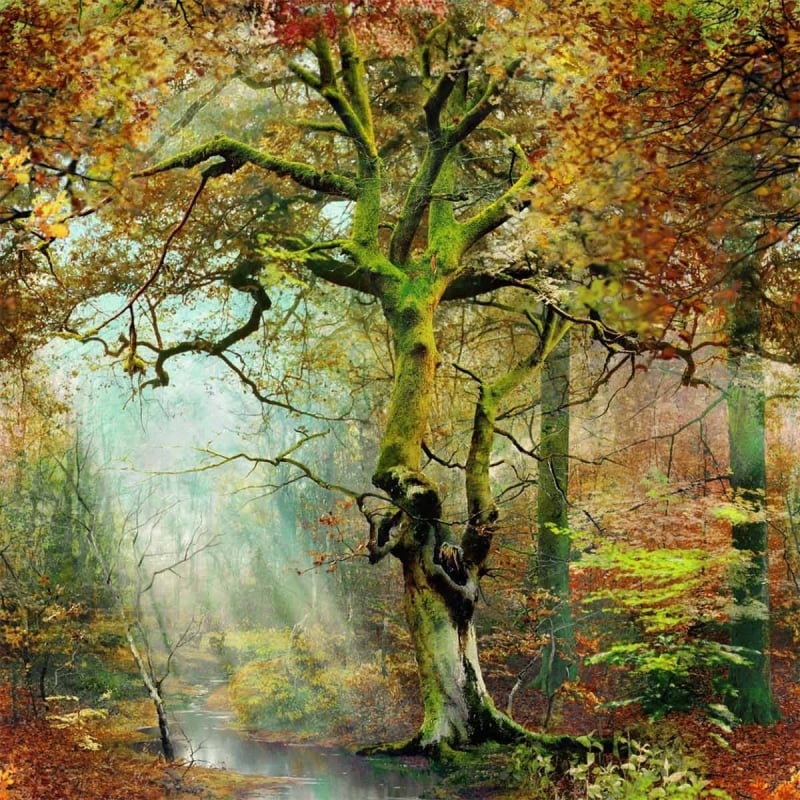 Carta da parati panoramica Sous Bois  Jean Paul Gaultier