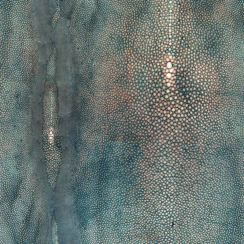 Carta da parati Précieux  Jean Paul Gaultier