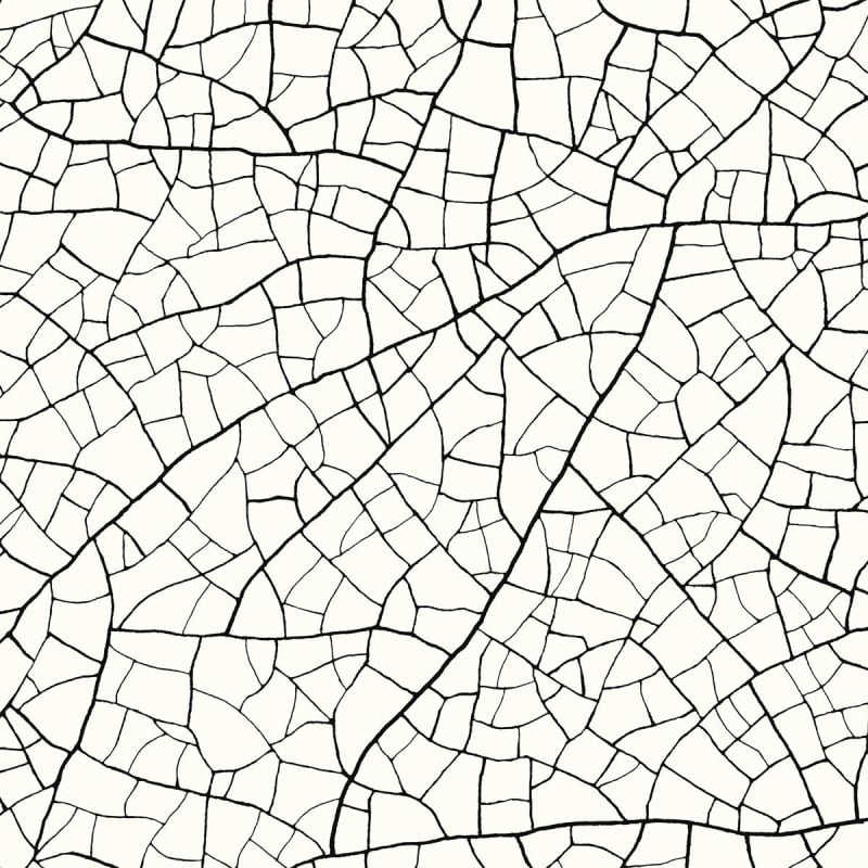 Carta da parati Thebaïde Jean Paul Gaultier