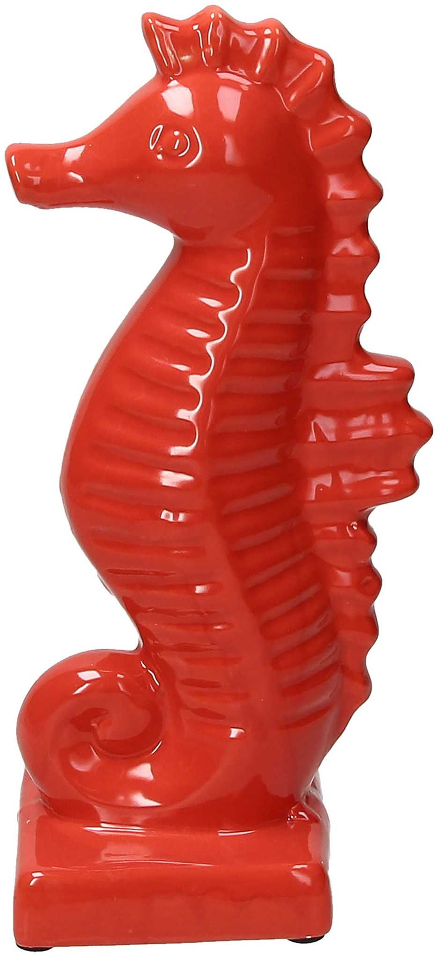 Cavalluccio Marino Cm 26 H