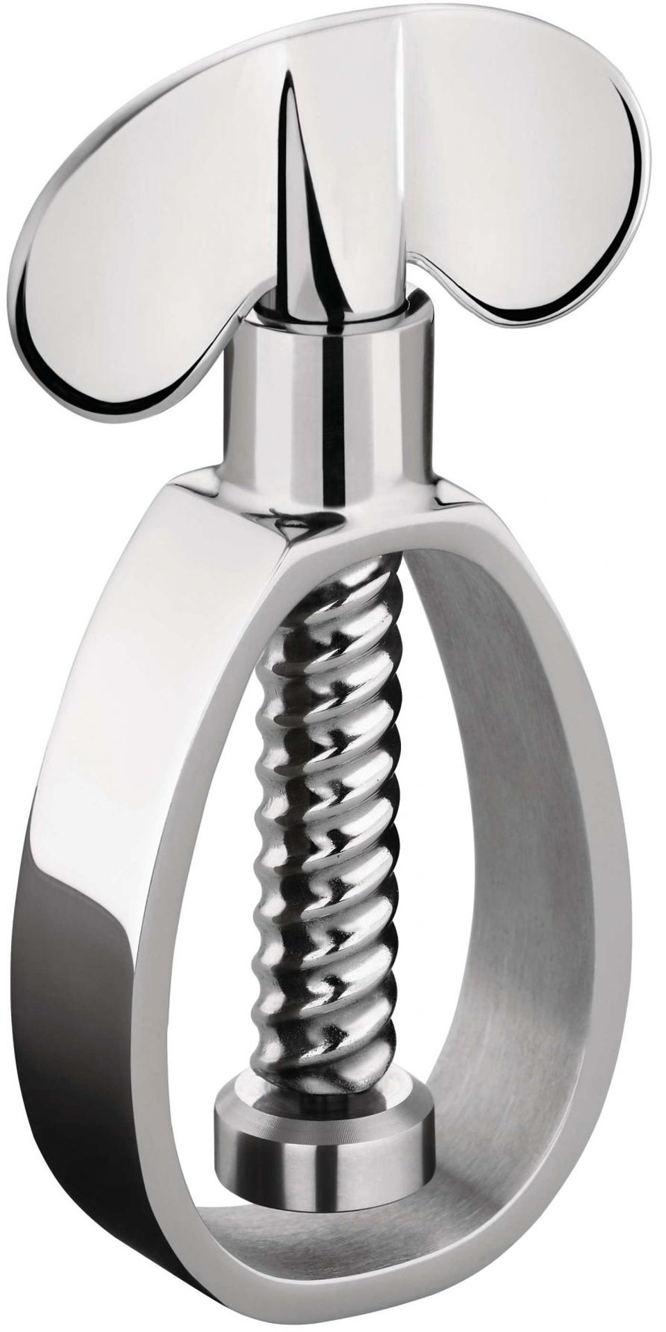 Farfalla Schiaccianoci