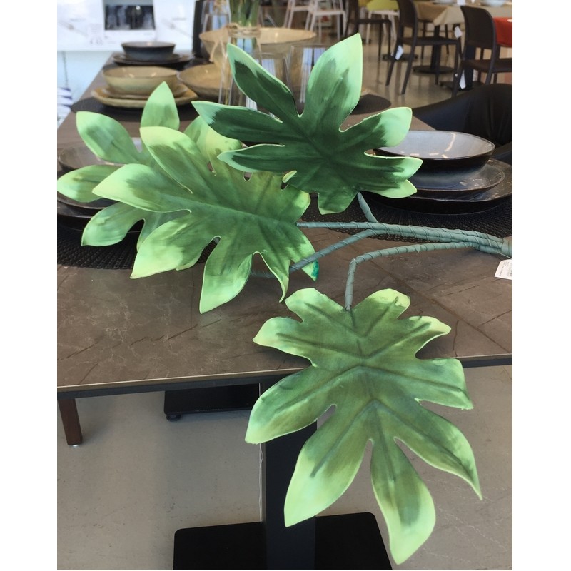 FLORA VARIEGATA ARALIA RITUALI DOMESTICI