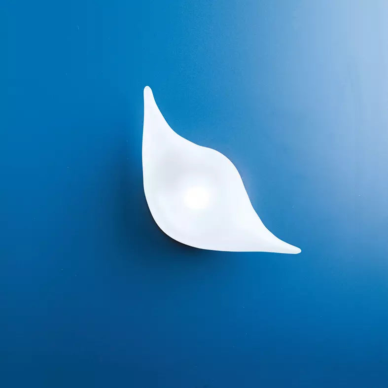 Album Pasticcione Luna Parete / Plafone