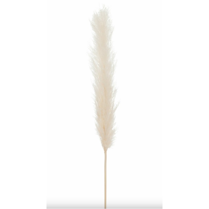 RAMO PIUME DELLA PAMPA ECRU LARGE 5X3X145 CM. JOLIPA