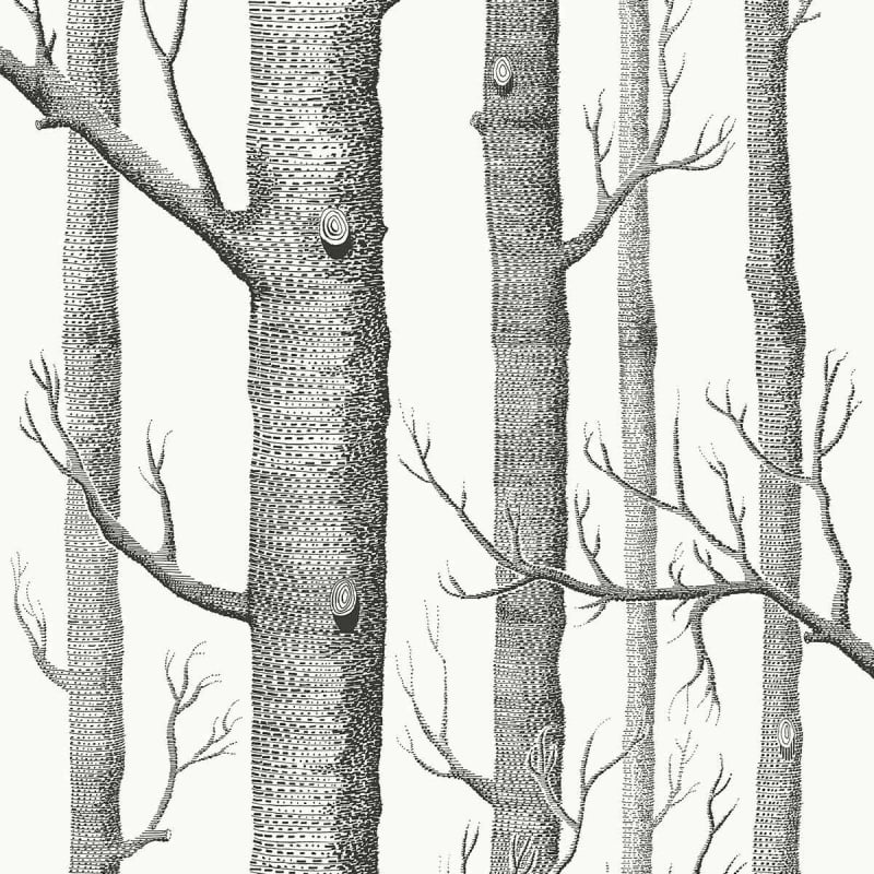 Tessuto Woods Cole and Son