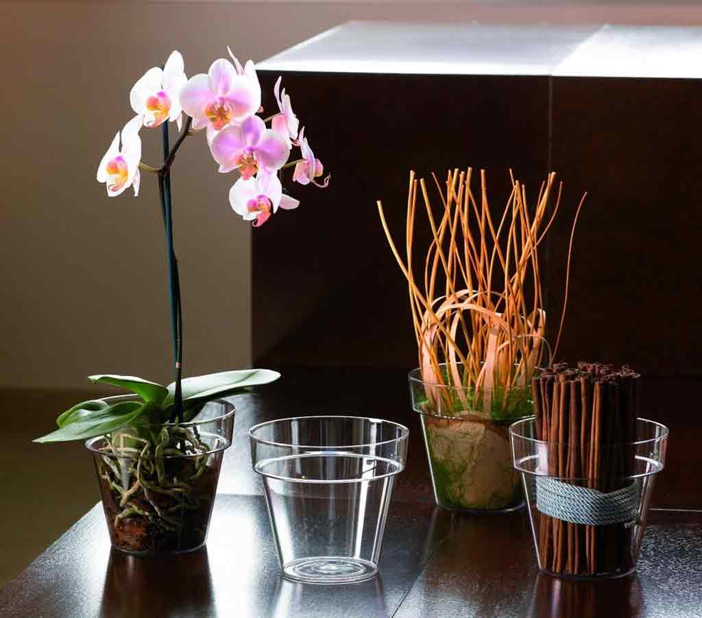 Vaso Mitu Vision Cm 10