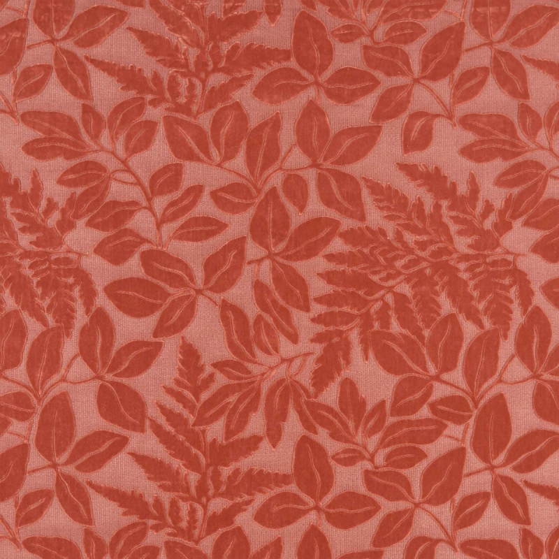 Velluto Donwell Osborne and Little