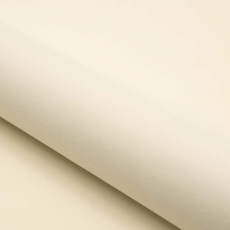 Velluto Otello N°2 Nobilis