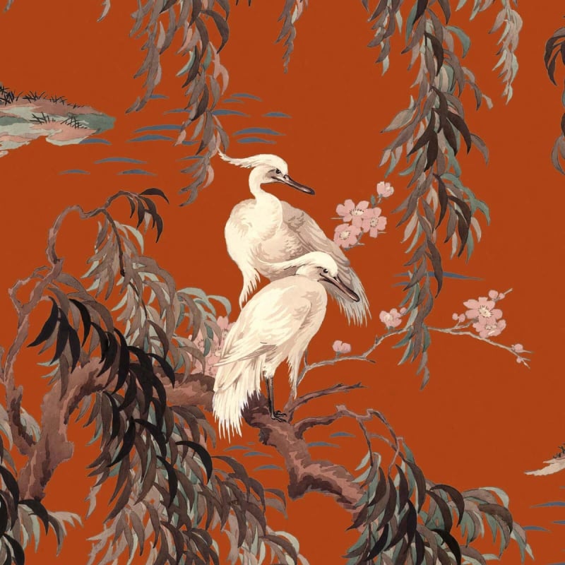 Velluto Zeus  House of Hackney